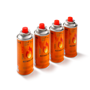 Gasstel (incl. 4 gasflessen)